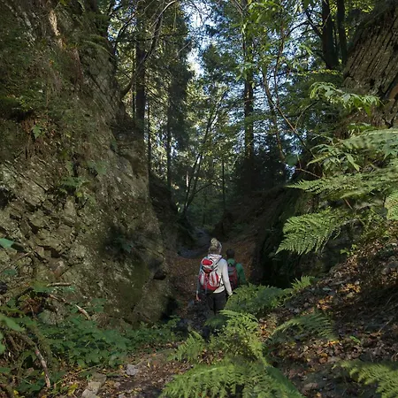 Апартаменты Dick *