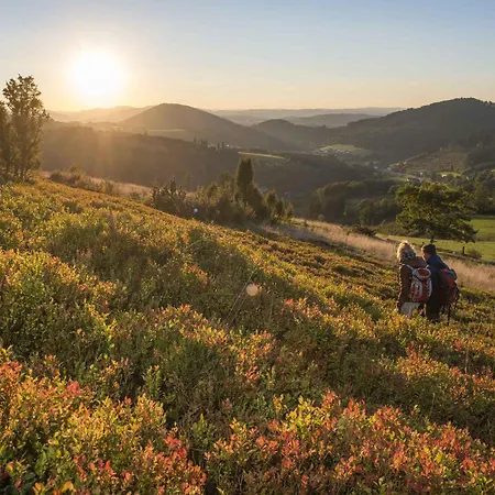 Dick Апартаменты *