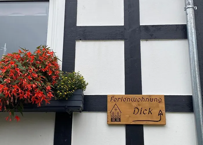 Dick * Schmallenberg